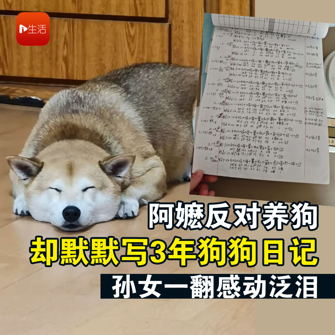 阿嬷反对养狗 却默默写3年狗狗日记 孙女一翻感动泛泪