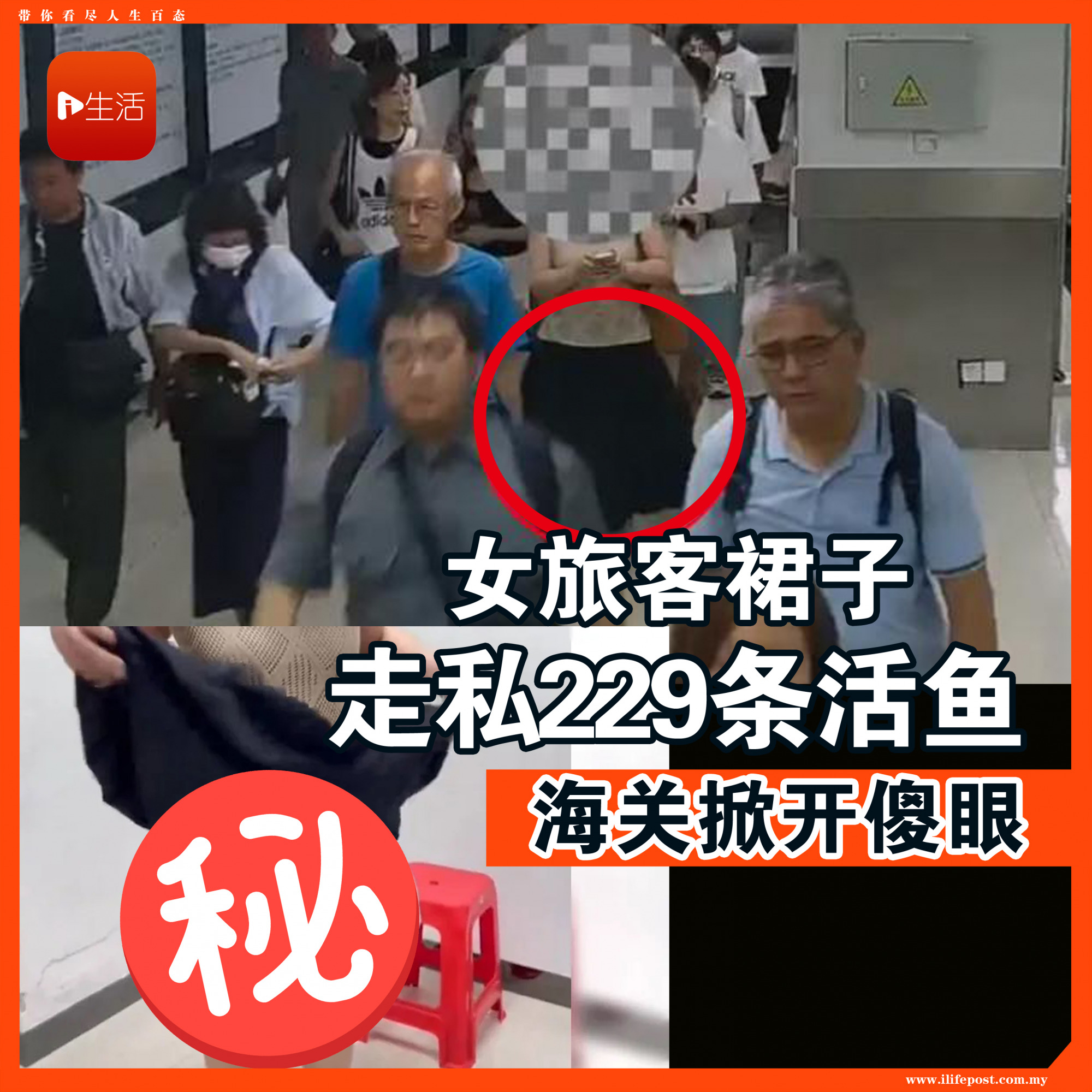 女旅客裙子走私229条活鱼 海关掀开傻眼