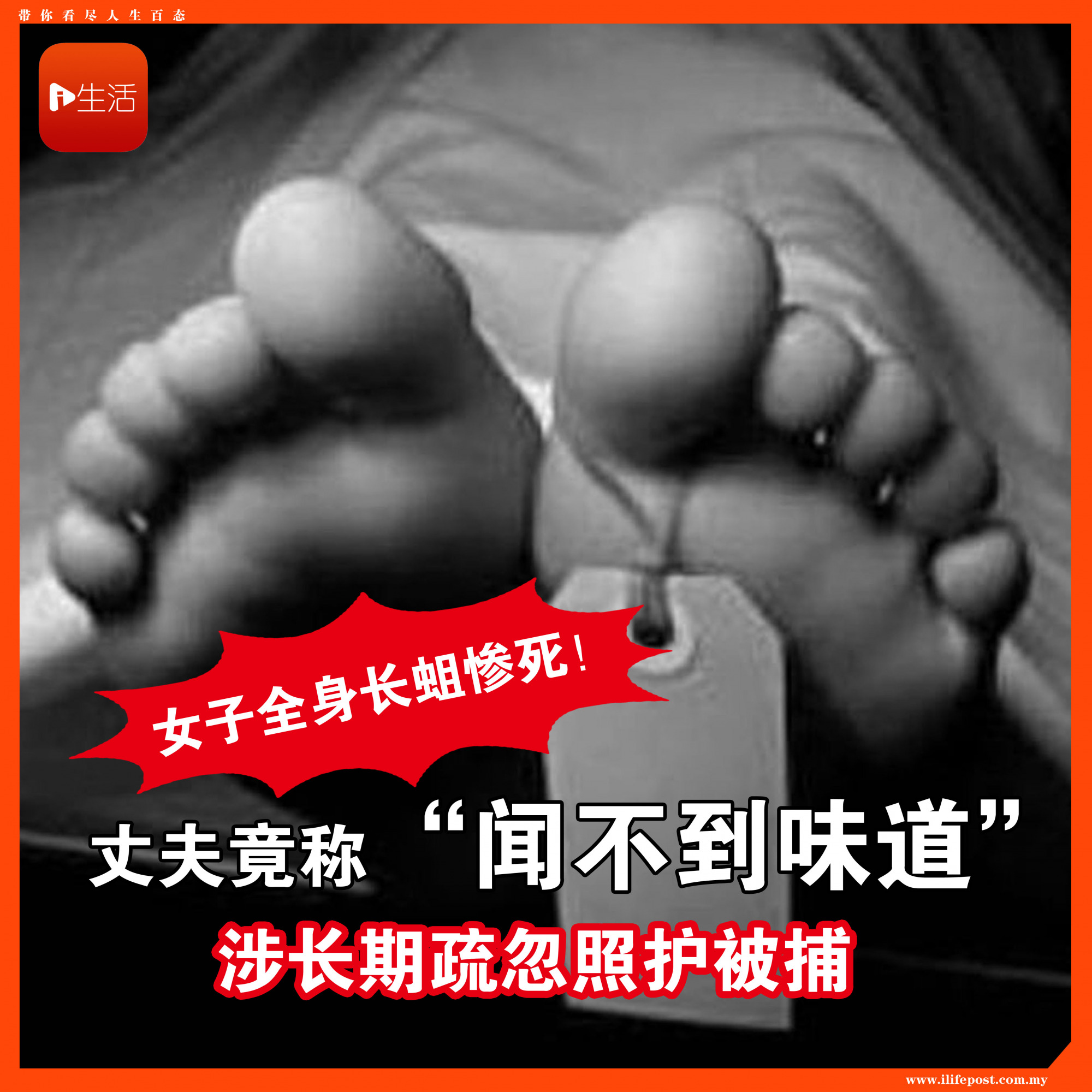 女子全身长蛆惨死！ 丈夫竟称“闻不到味道”  涉长期疏忽照护被捕