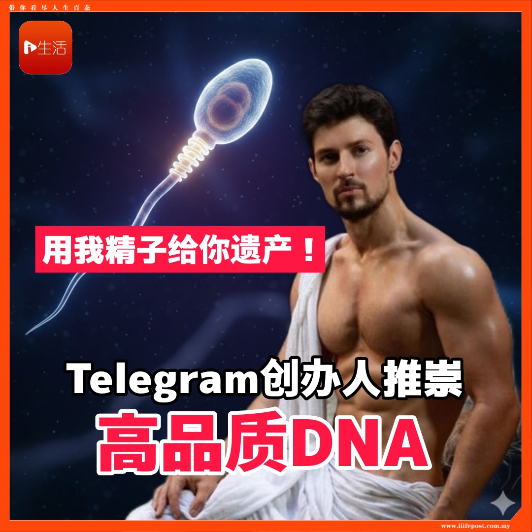用我精子给你遗产！    Telegram创办人推崇      高品质DNA