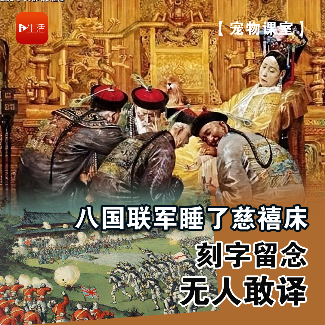 【古代趣史】八国联军睡了慈禧床 刻字留念无人敢译