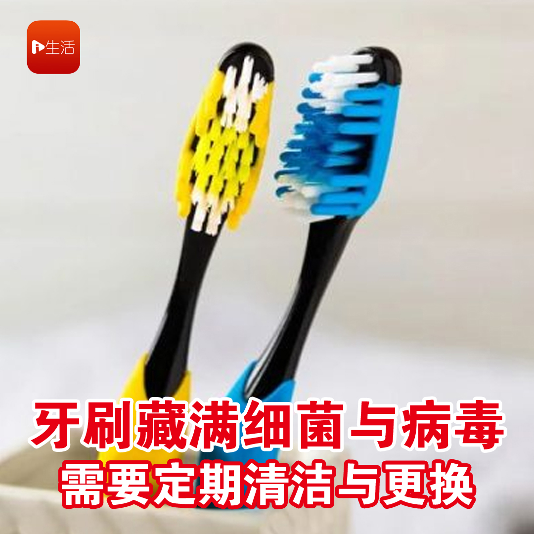 牙刷藏满细菌与病毒 需要定期清洁与更换