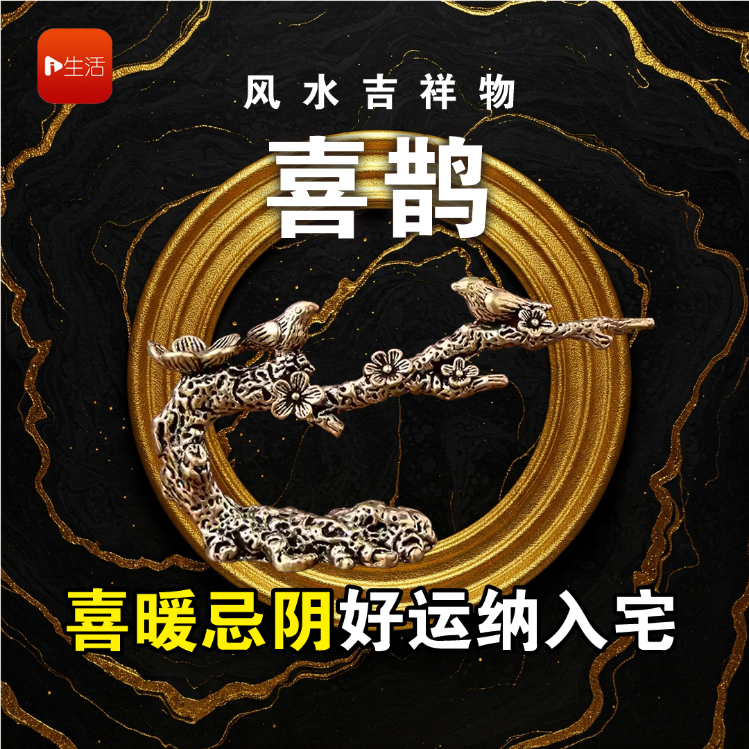 风水吉祥物“喜鹊”  喜暖忌阴好运纳入宅
