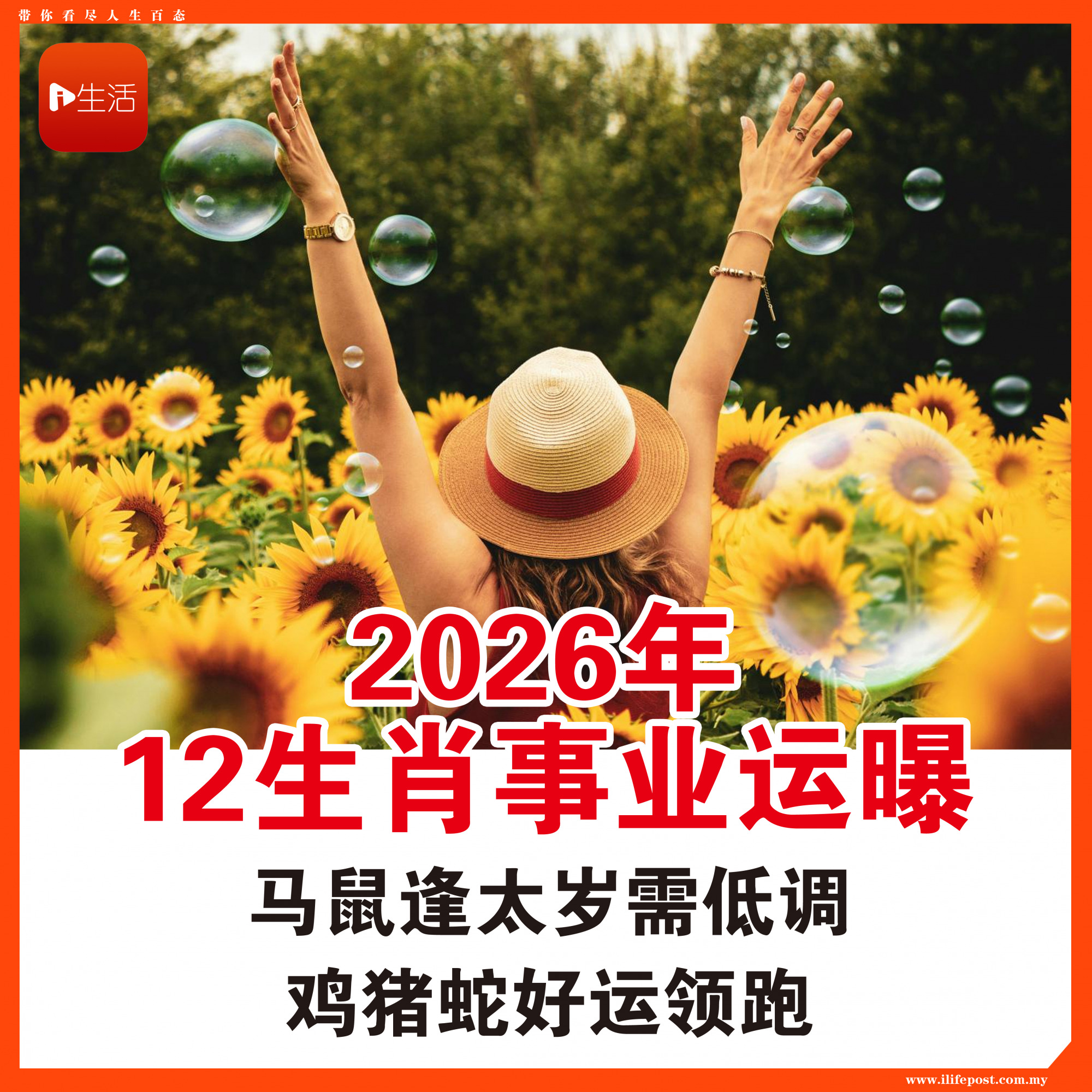 2026年12生肖事业运曝！ 马鼠逢太岁需低调 鸡猪蛇好运领跑