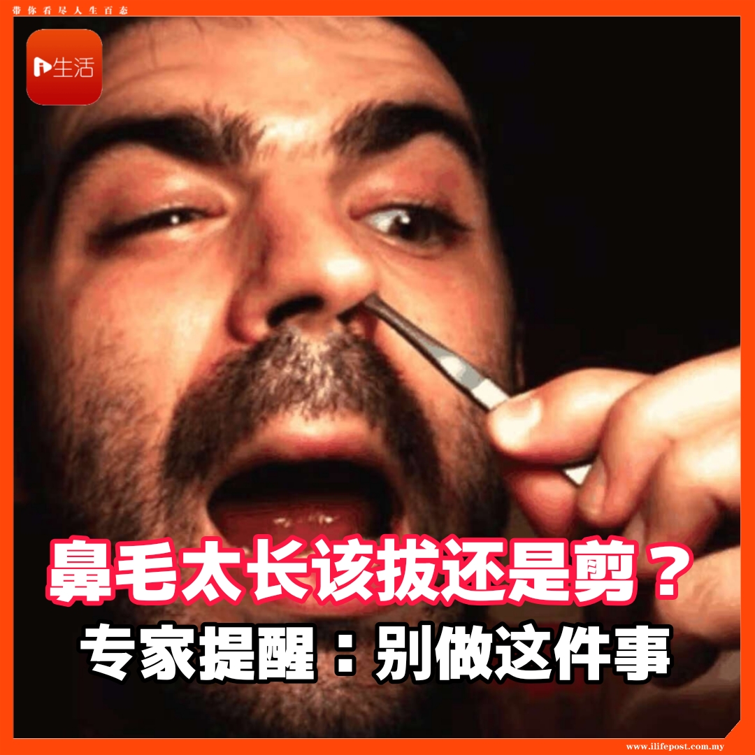 鼻毛太长该拔还是剪？    专家提醒：别做这件事