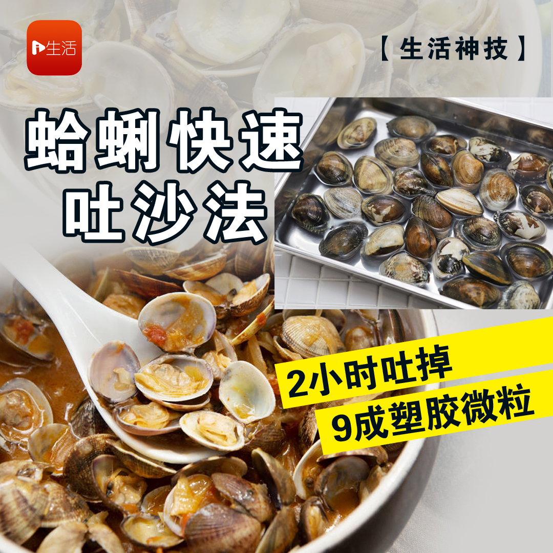 【生活神技】 蛤蜊快速吐沙法 2小时吐掉9成塑胶微粒