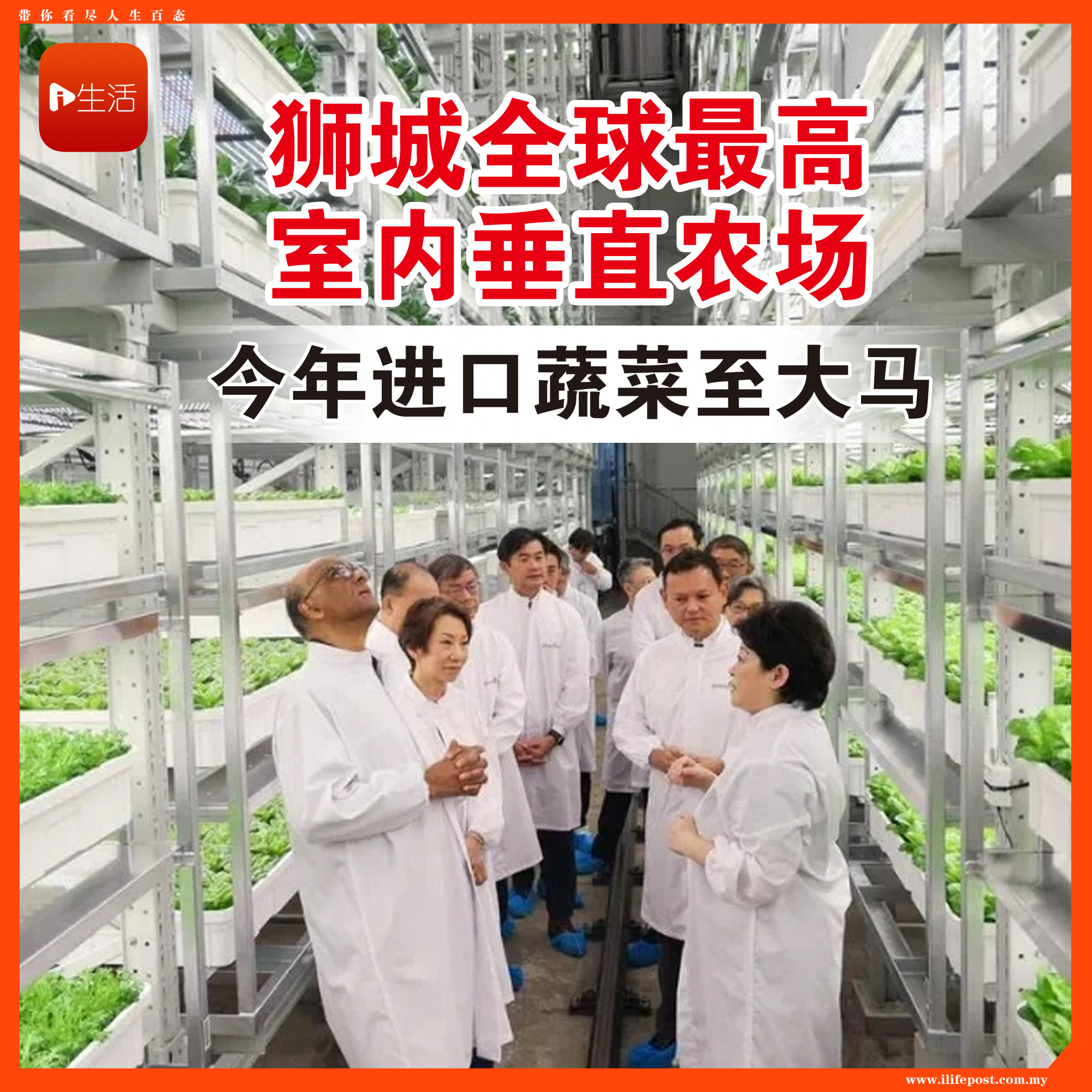 狮城全球最高室内垂直农场 今年进口蔬菜至大马