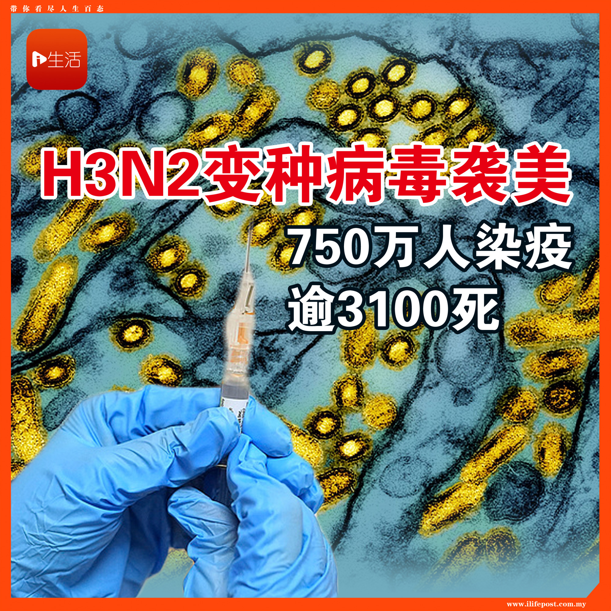 H3N2变种病毒袭美 750万人染疫逾3100死